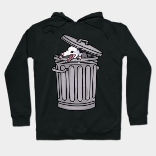 opossum trash cat Hoodie